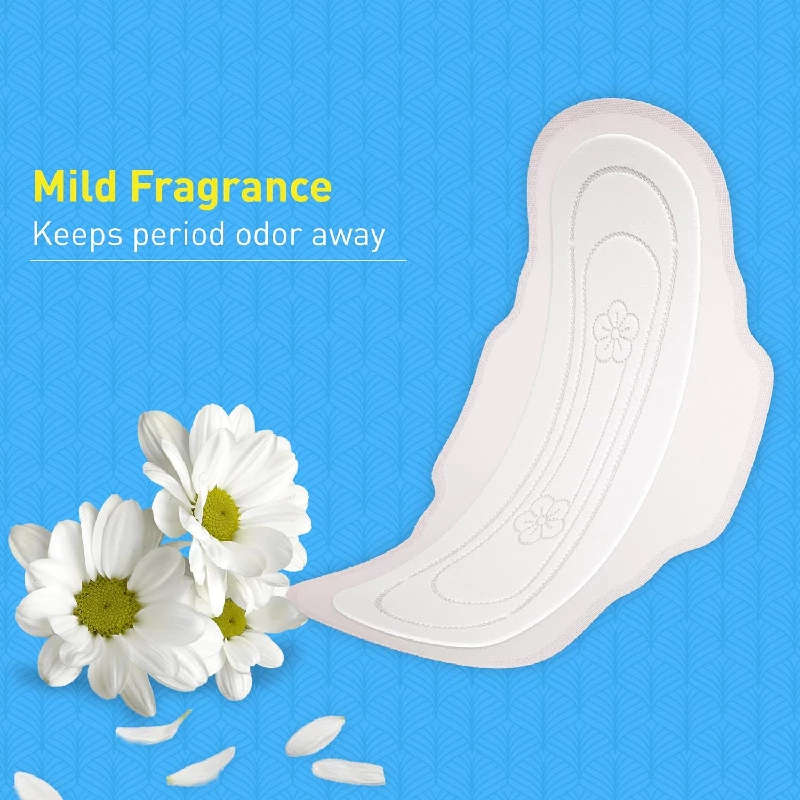 Paree Dry Feel Regular Sanitary Pads, 40 Pads-4.webp